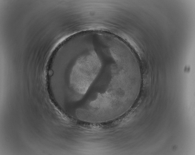 X0000097480975200802221348