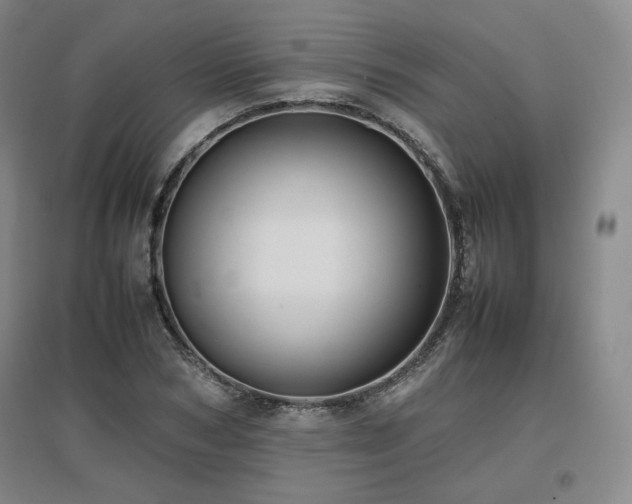 X0000097480978200802221348