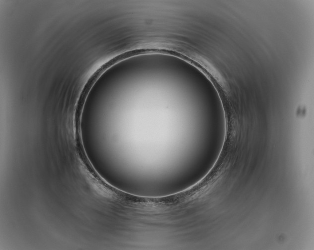X0000097480980200802221348