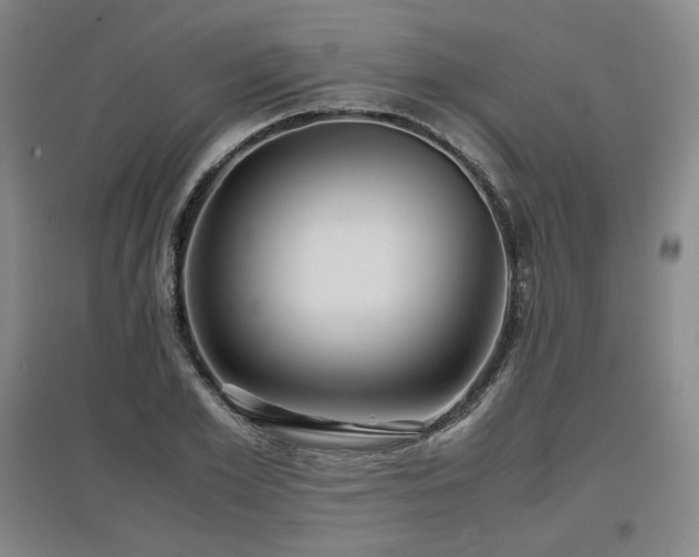 X0000097480981200802221348