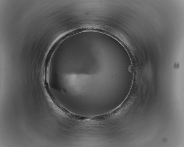 X0000097480984200802221348