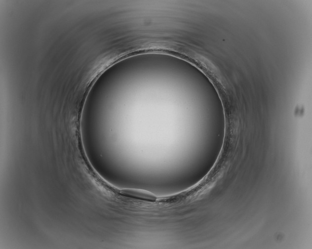 X0000097480985200802221348