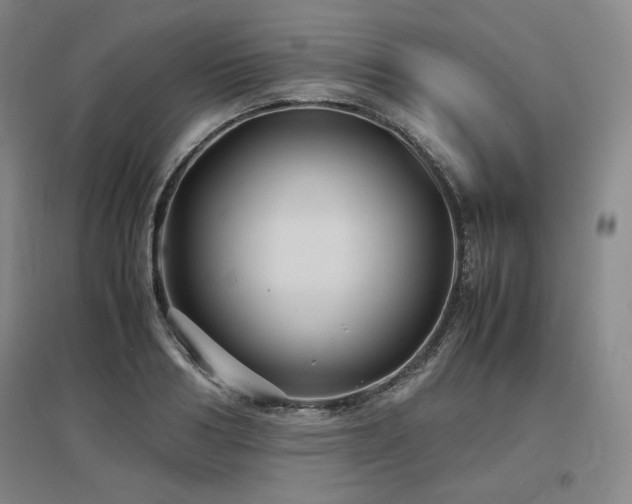 X0000097480986200802221348