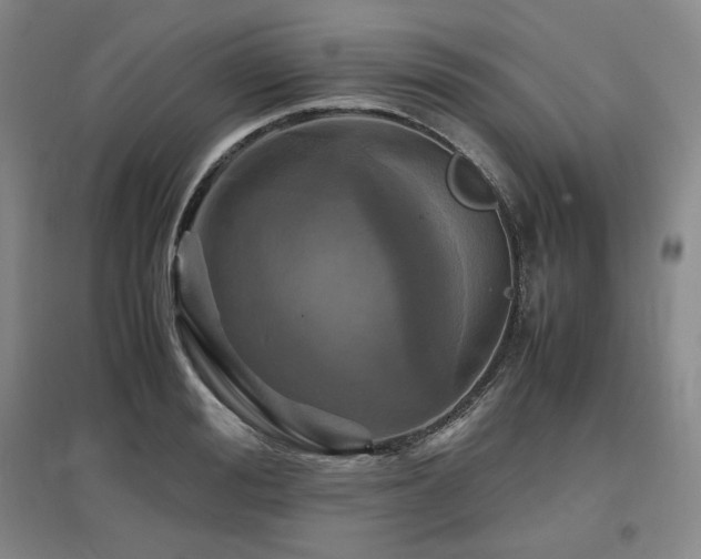 X0000097480988200802221348