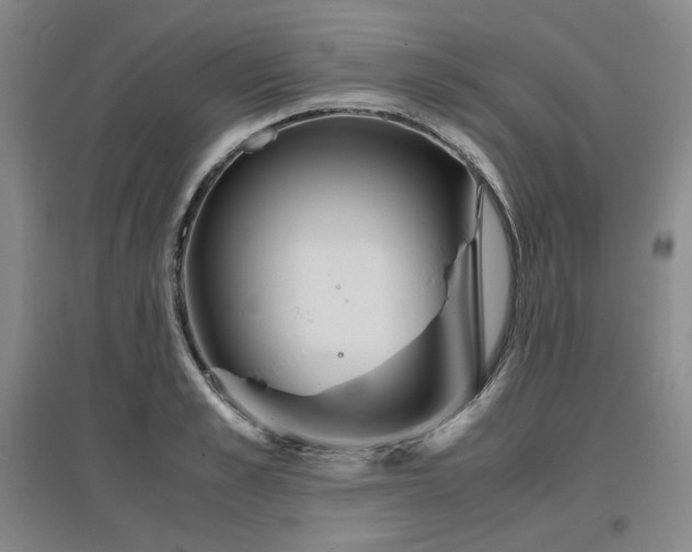 X0000097480989200802221348