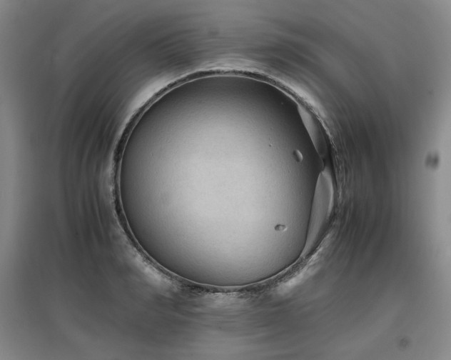X0000097480990200802221348