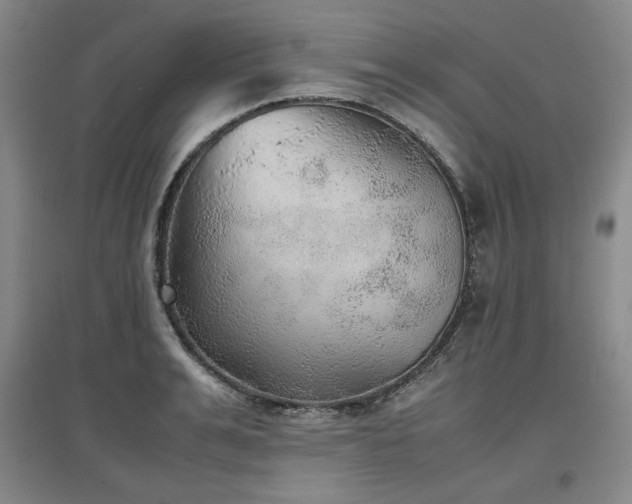 X0000097480991200802221348