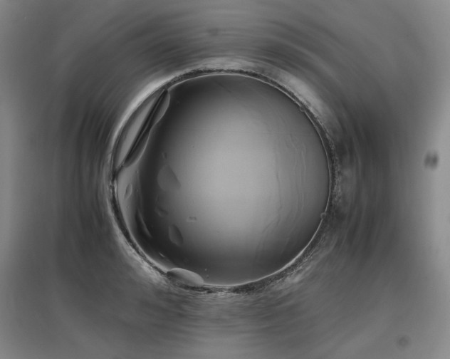 X0000097480992200802221348