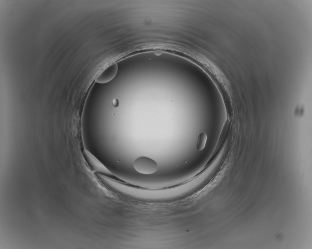 X0000097480993200802221348