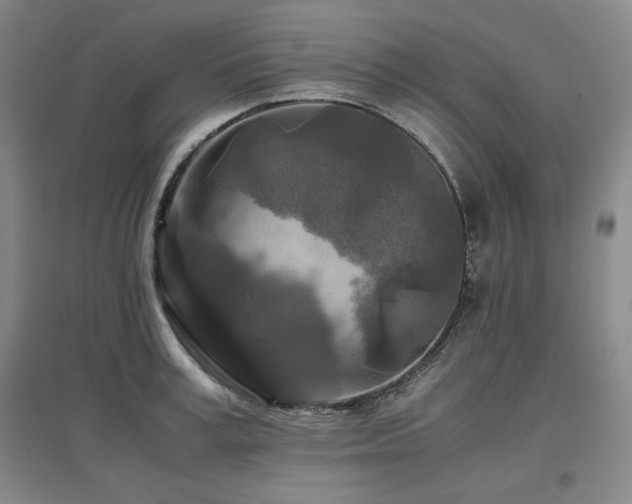 X0000097480995200802221348