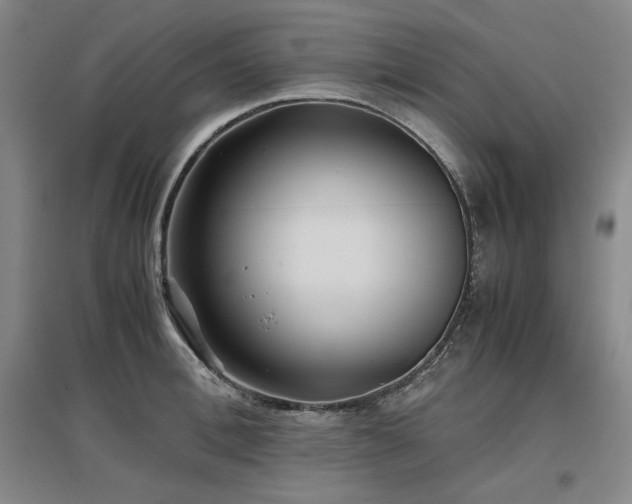 X0000097480996200802221348