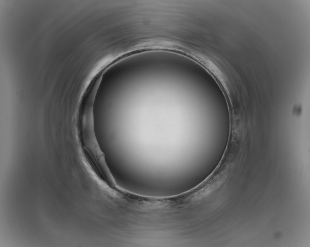 X0000097480997200802221348
