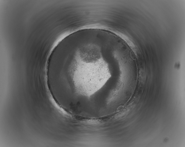 X0000097480998200802221348