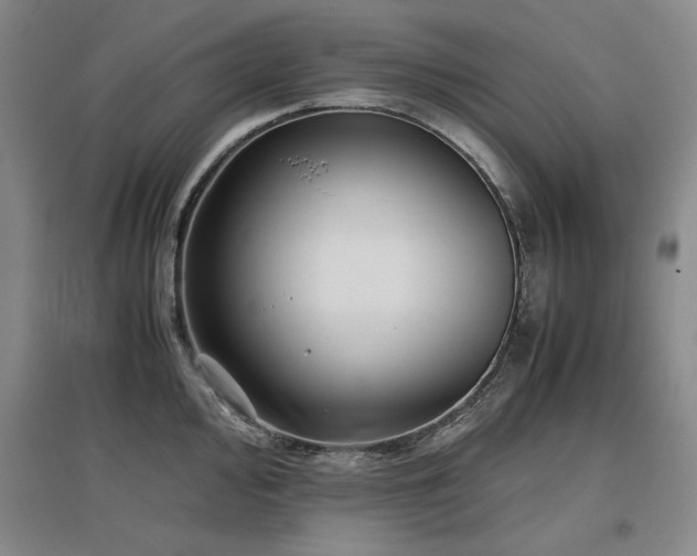 X0000097481000200802221348