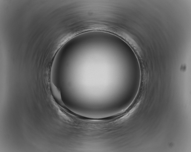 X0000097481001200802221348