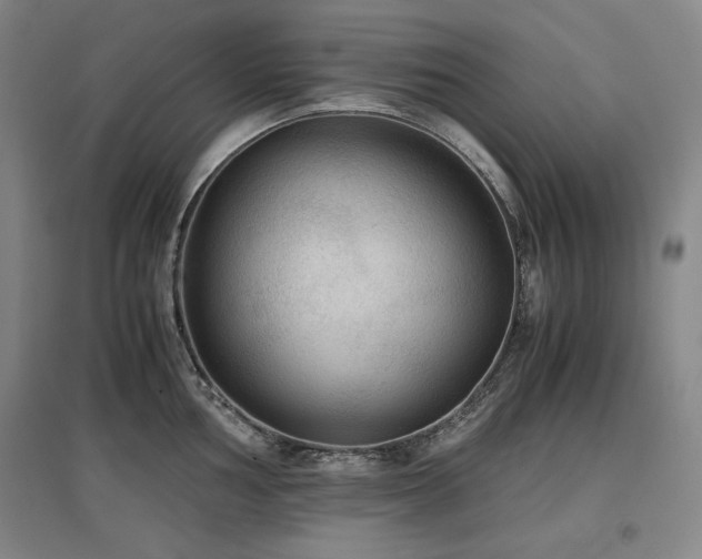 X0000097481002200802221348