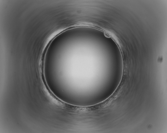 X0000097481003200802221348