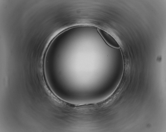 X0000097481004200802221348