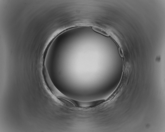 X0000097481005200802221348