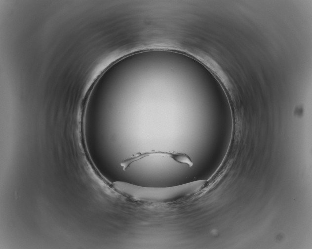 X0000097481006200802221348