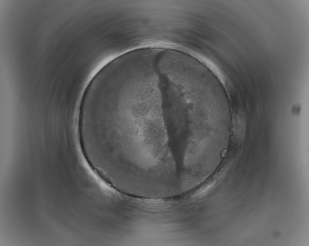 X0000097481007200802221348