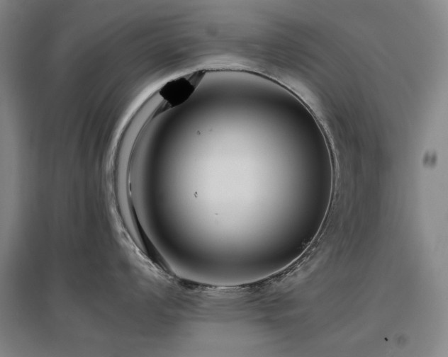 X0000097481008200802221348