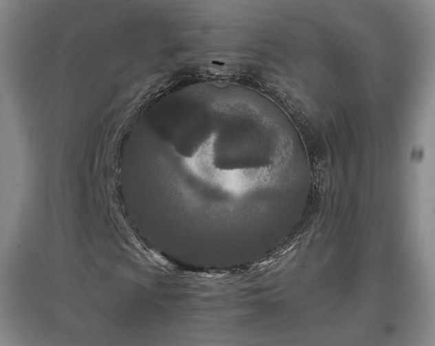 X0000097481009200802221347