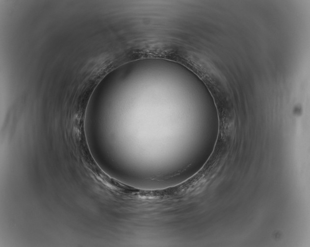 X0000097481010200802221347