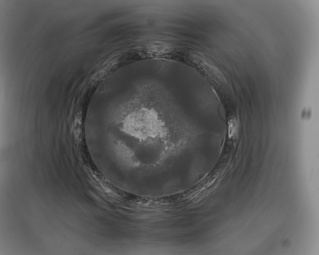 X0000097481011200802221347