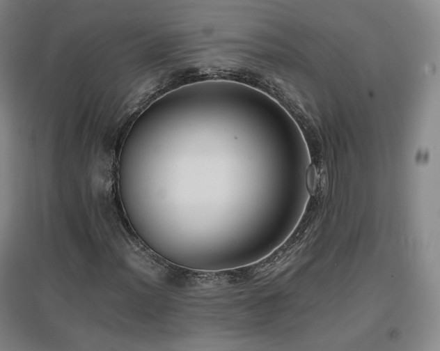 X0000097481012200802221347