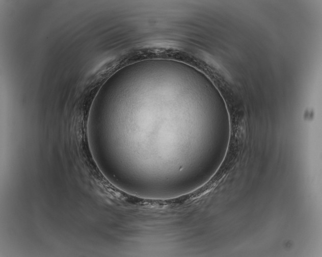 X0000097481014200802221347