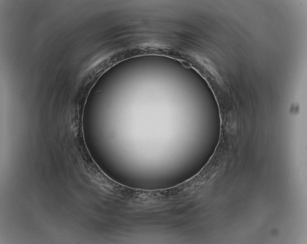 X0000097481015200802221347