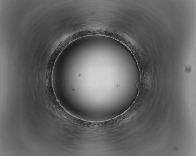 X0000097481016200802221347