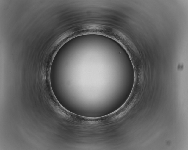 X0000097481017200802221347