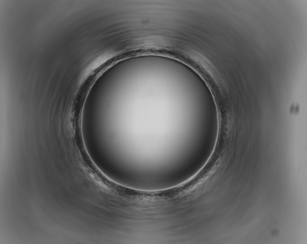 X0000097481018200802221347
