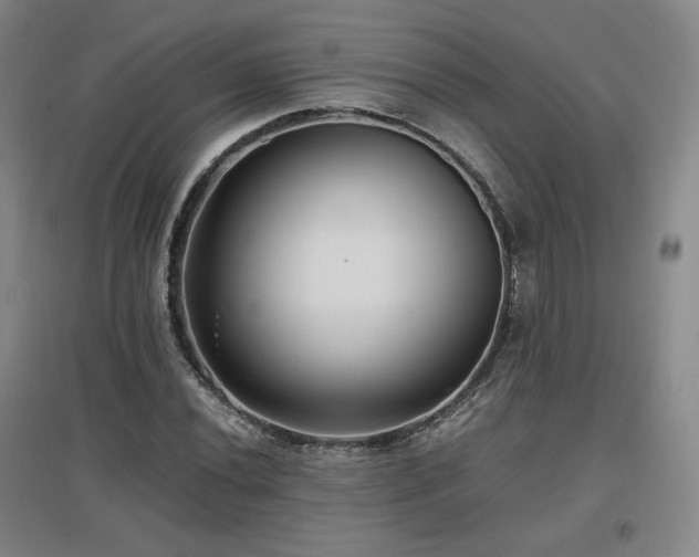 X0000097481020200802221347