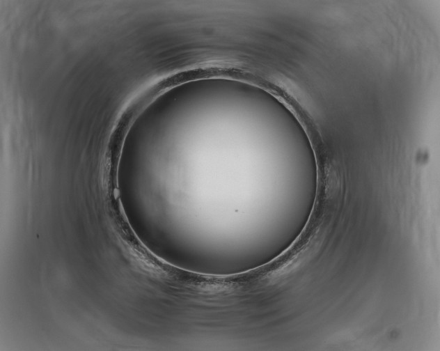X0000097481021200802221347