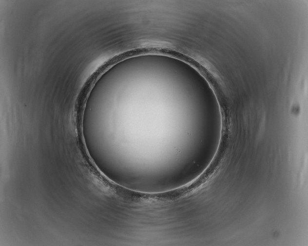 X0000097481022200802221347