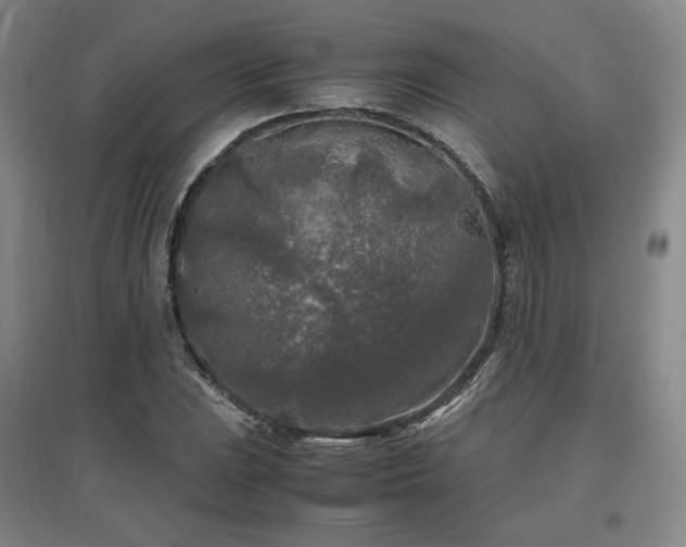 X0000097481023200802221347
