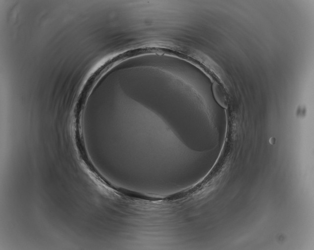 X0000097481024200802221347