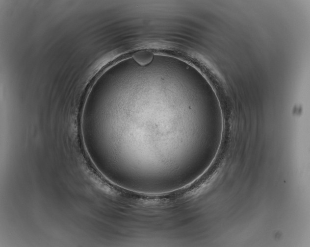 X0000097481025200802221347