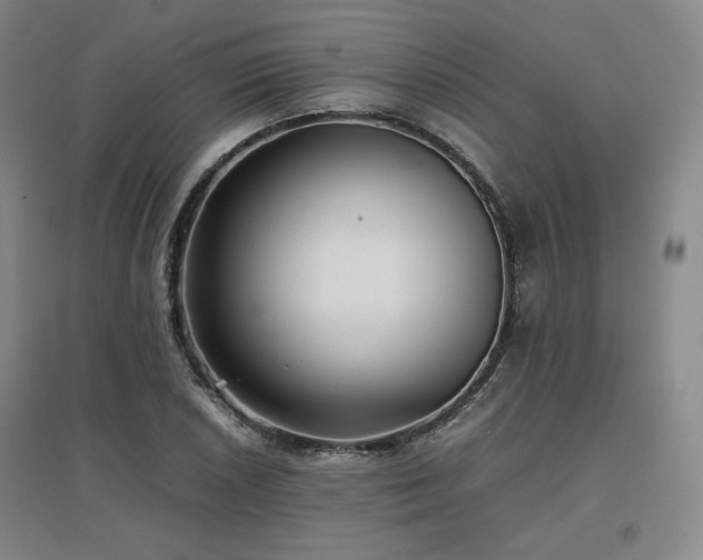 X0000097481026200802221347