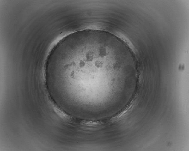 X0000097481027200802221347