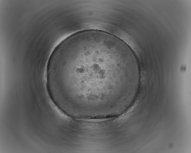 X0000097481028200802221347