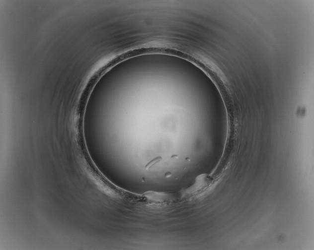 X0000097481029200802221347