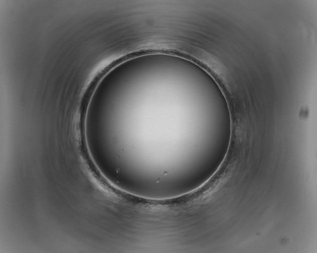 X0000097481030200802221347