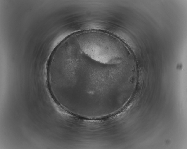 X0000097481031200802221347