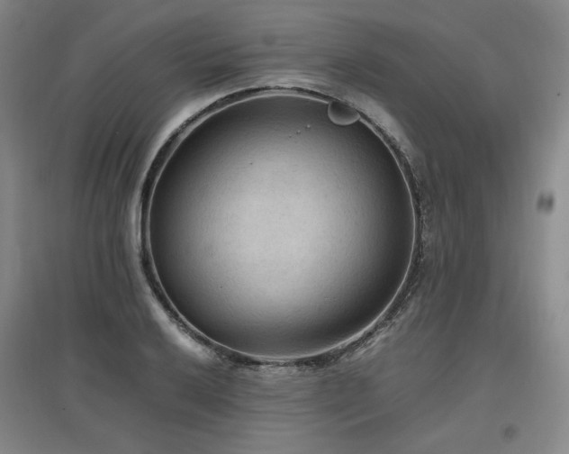 X0000097481032200802221347
