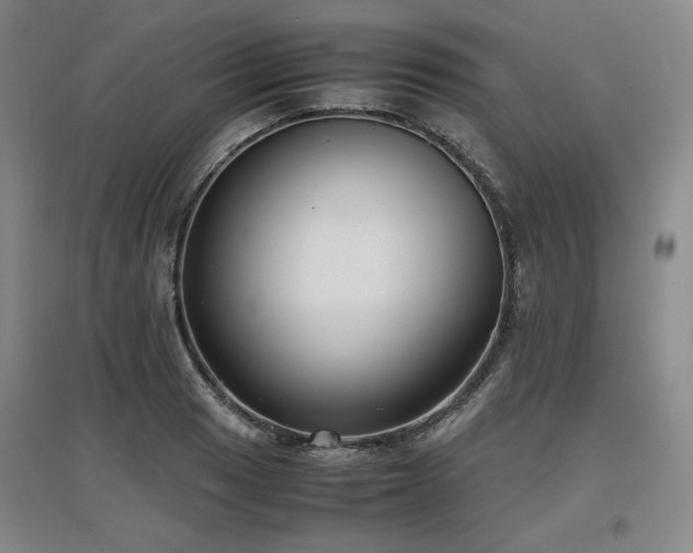 X0000097481033200802221347