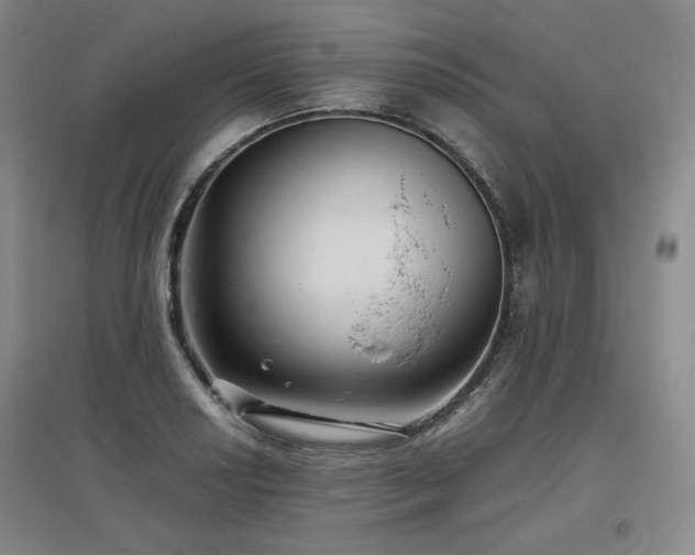 X0000097481034200802221347